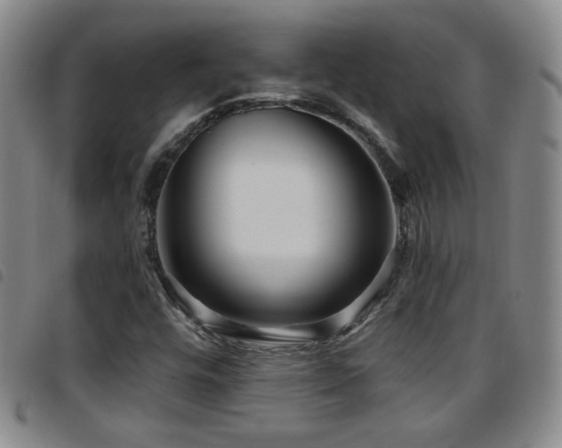 X0000097891448200803141322