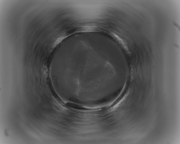 X0000097891449200803141322