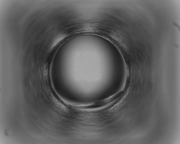 X0000097891450200803141322