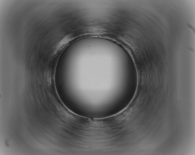 X0000097891451200803141322
