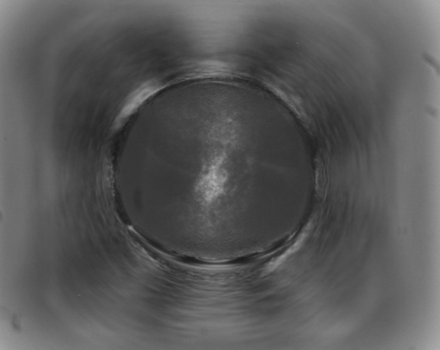 X0000097891453200803141322