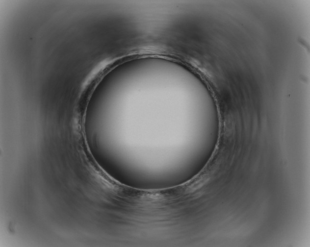 X0000097891454200803141322