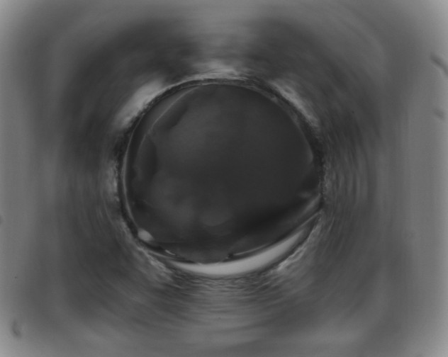 X0000097891455200803141322