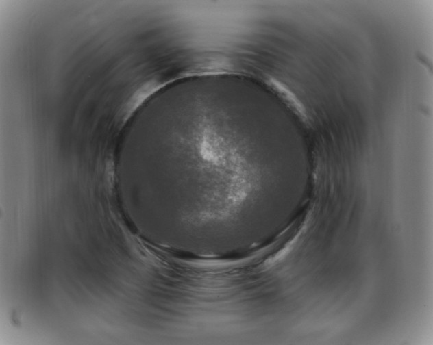 X0000097891457200803141322