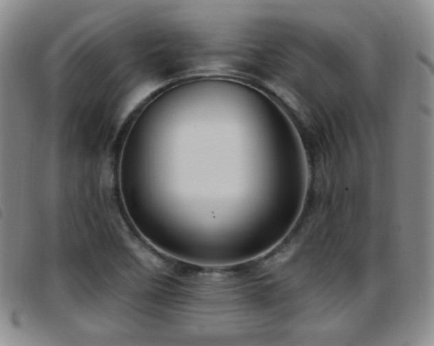 X0000097891458200803141322