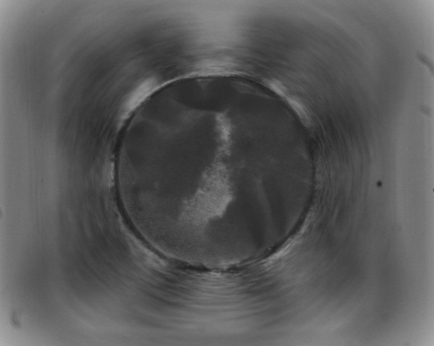X0000097891459200803141322