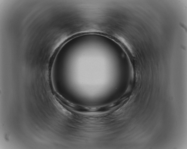 X0000097891460200803141322