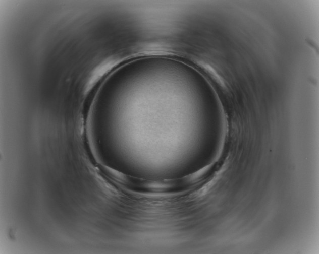 X0000097891461200803141322
