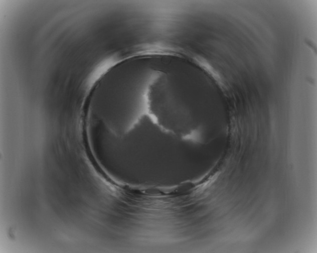 X0000097891463200803141322