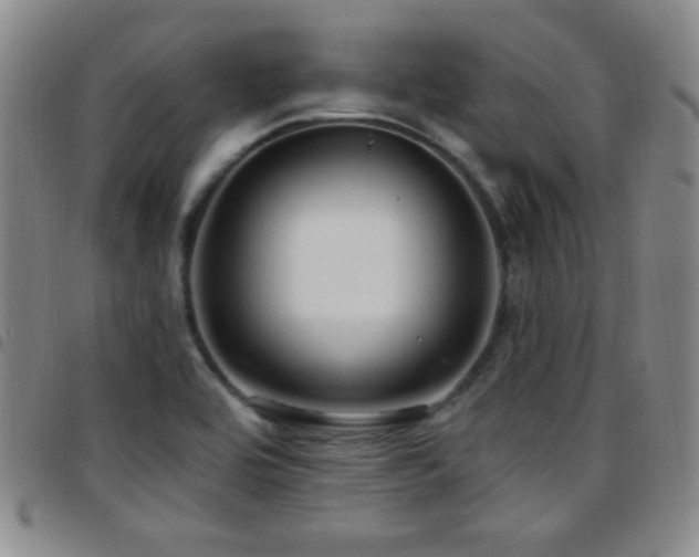 X0000097891464200803141322