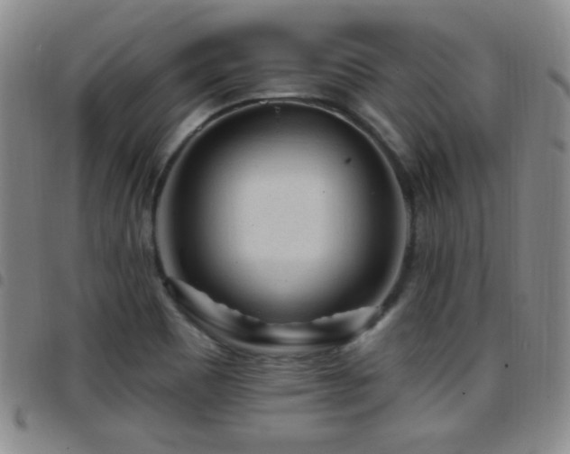 X0000097891465200803141322