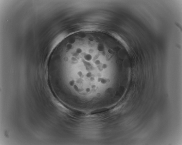 X0000097891467200803141322