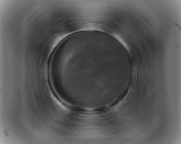 X0000097891468200803141322