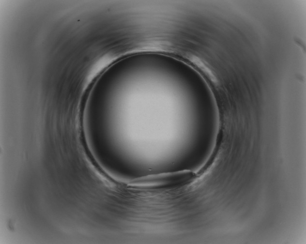 X0000097891469200803141322