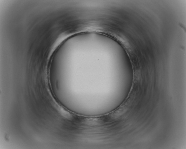 X0000097891470200803141322