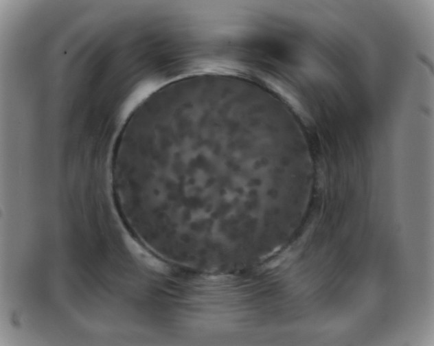 X0000097891471200803141322
