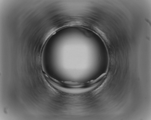 X0000097891473200803141322