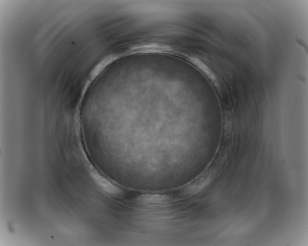 X0000097891474200803141322