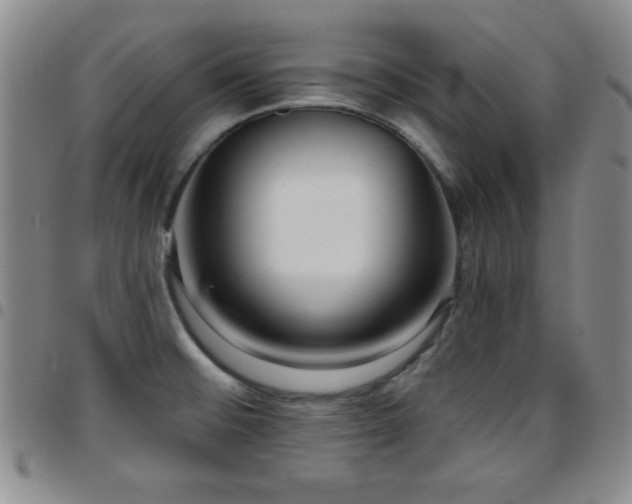 X0000097891476200803141322