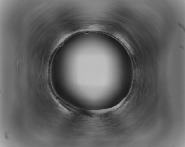 X0000097891477200803141322