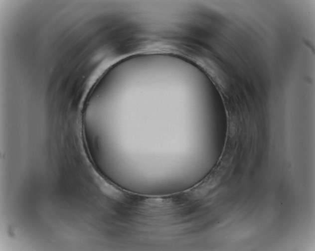X0000097891478200803141322