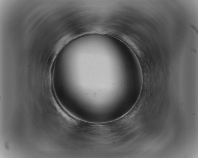 X0000097891479200803141322