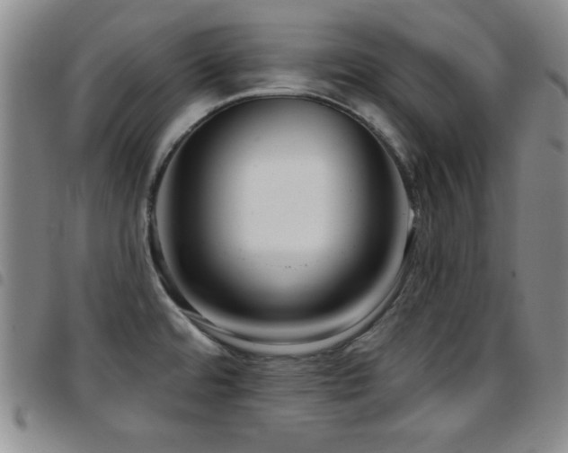 X0000097891480200803141322