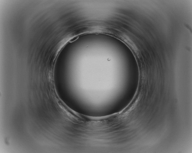 X0000097891481200803141322