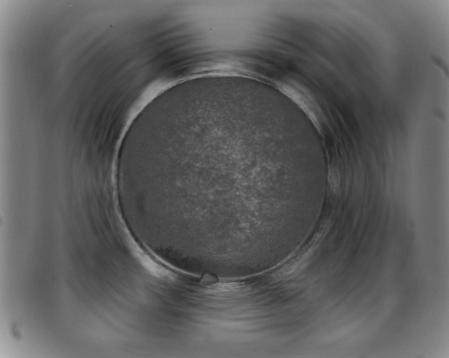 X0000097891482200803141322