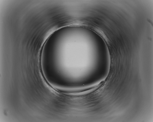 X0000097891483200803141322