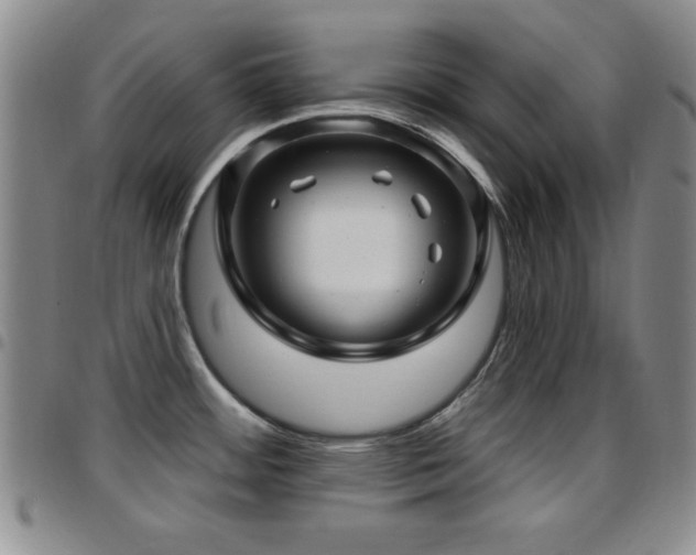 X0000097891484200803141322