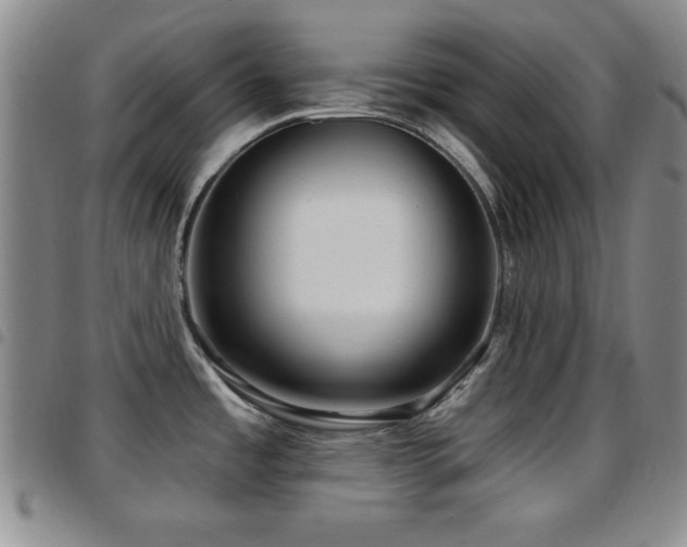 X0000097891485200803141322