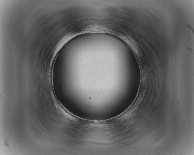X0000097891486200803141322