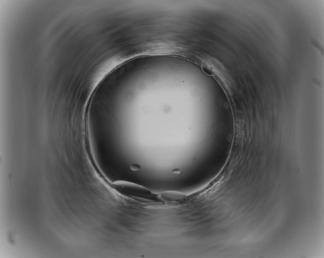 X0000097891487200803141322