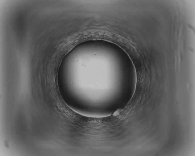 X0000097891489200803141321
