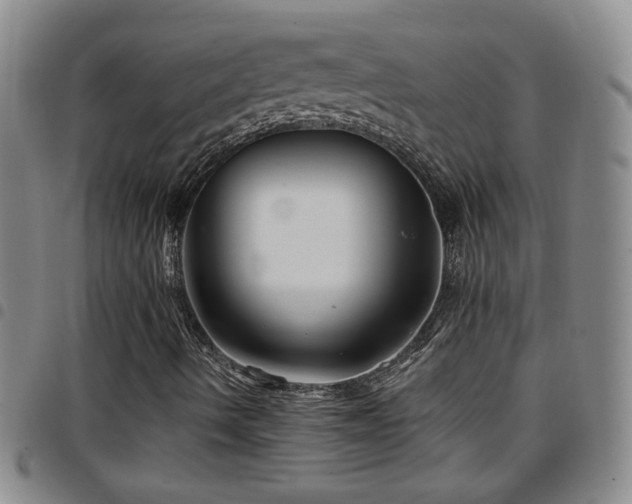 X0000097891490200803141321