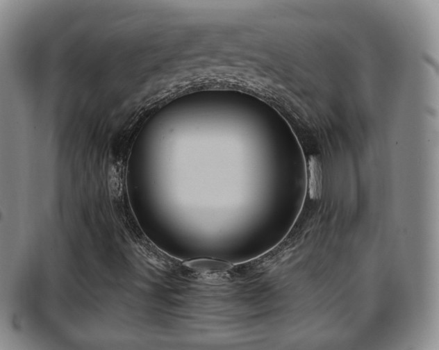 X0000097891491200803141321