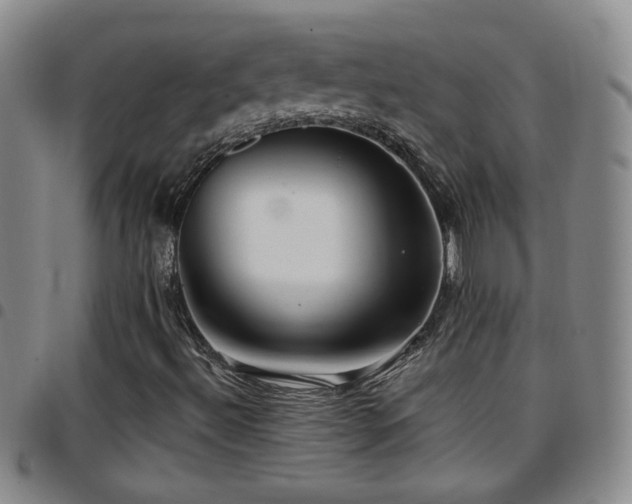 X0000097891492200803141321