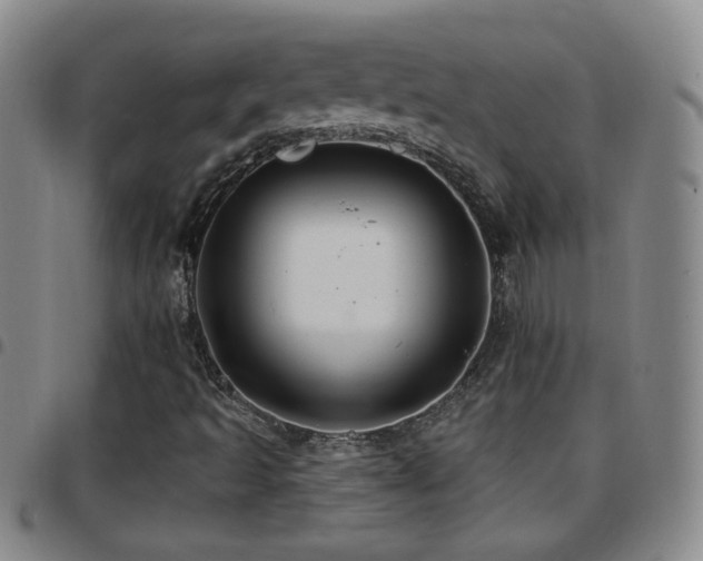 X0000097891493200803141321
