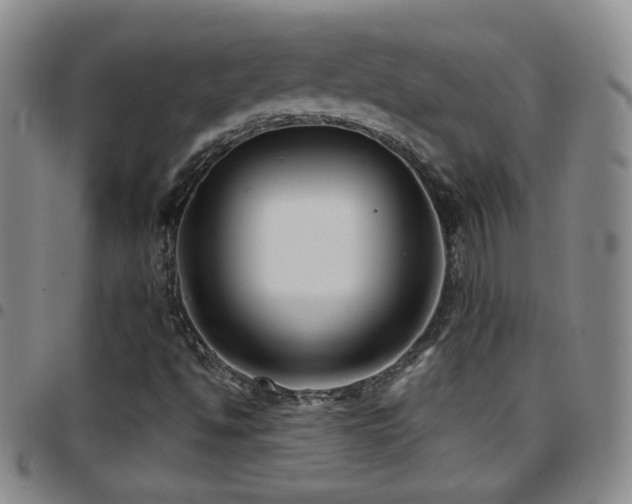 X0000097891494200803141321