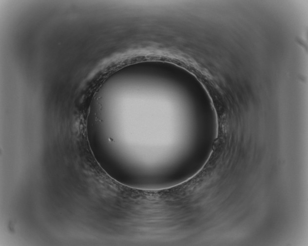 X0000097891495200803141321