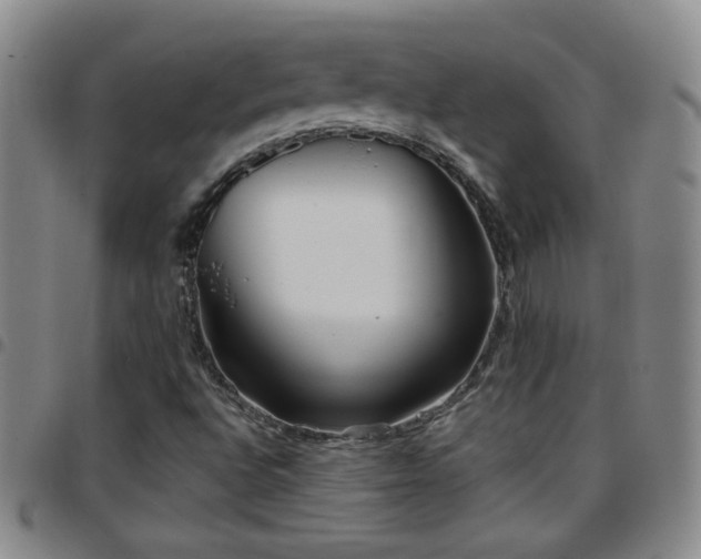 X0000097891496200803141321