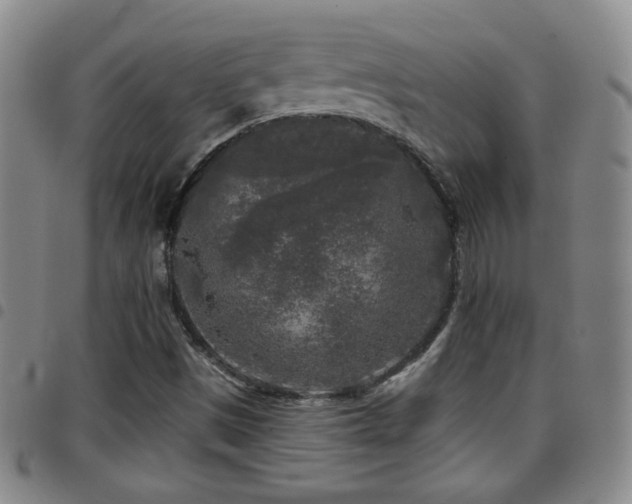 X0000097891497200803141321