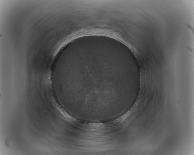 X0000097891498200803141321