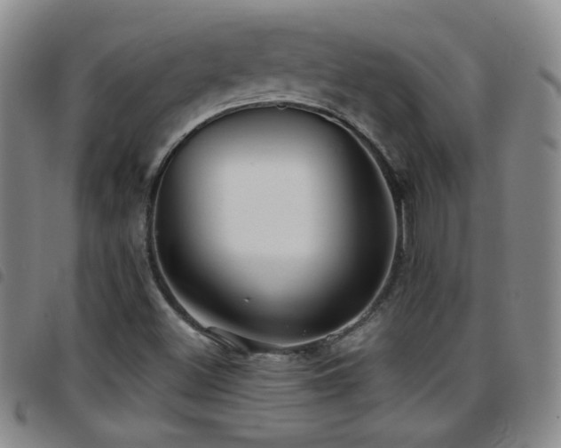 X0000097891500200803141321