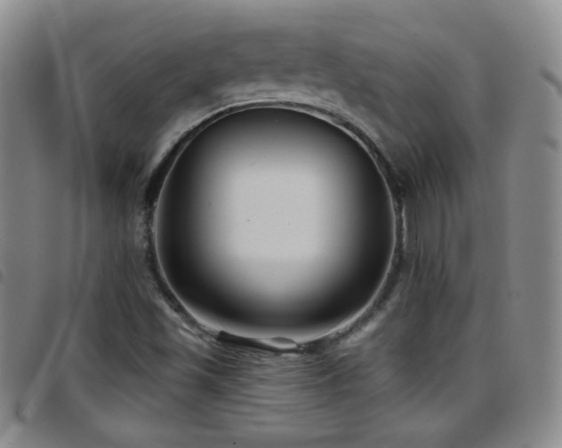 X0000097891501200803141321