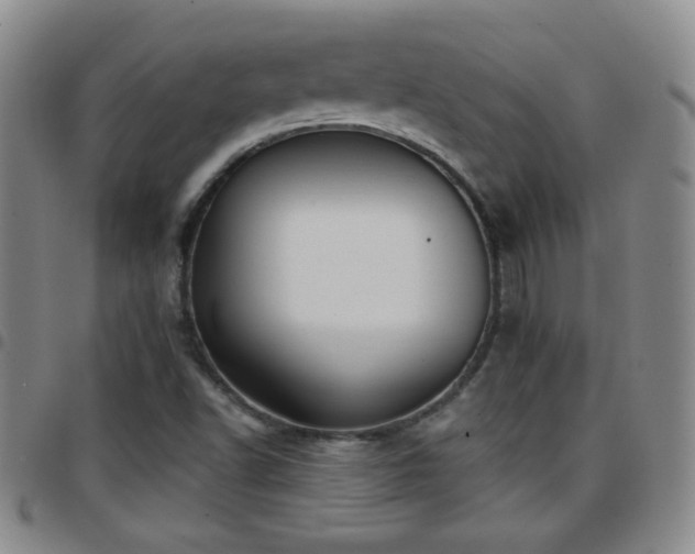 X0000097891502200803141321