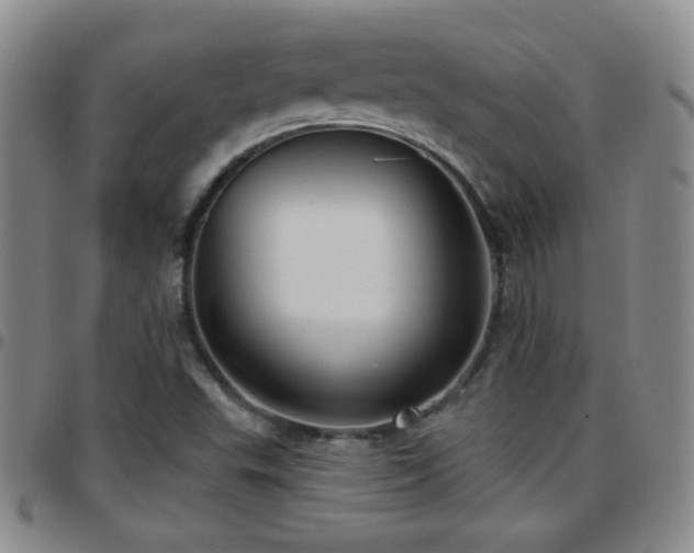 X0000097891503200803141321