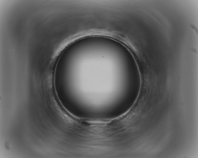 X0000097891504200803141321