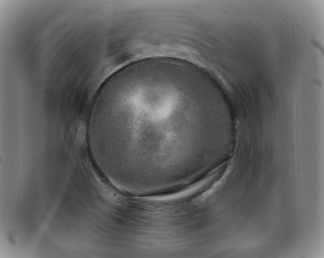 X0000097891505200803141321